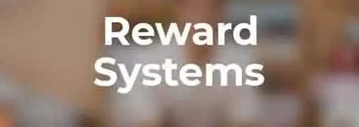 Reward Systems in an Entrepreneurial Organization