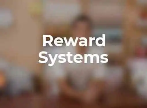 Reward Systems in an Entrepreneurial Organization