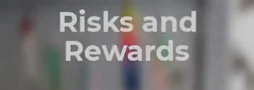 Risks and Rewards for Entrepreneurs