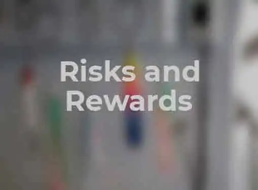 Risks and Rewards for Entrepreneurs