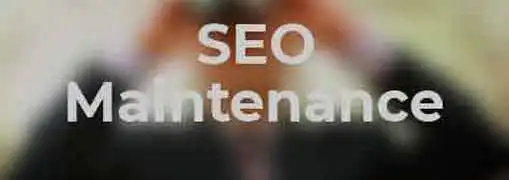 SEO Maintenance Plan