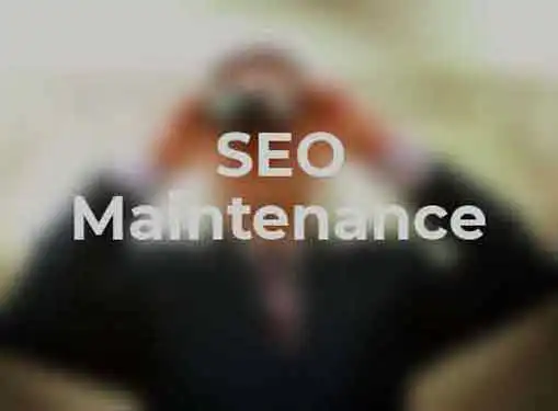 SEO Maintenance Plan