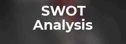 SWOT Analysis