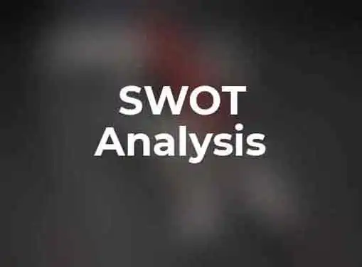 SWOT Analysis