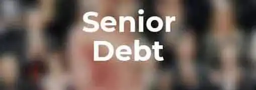 Senior Debt