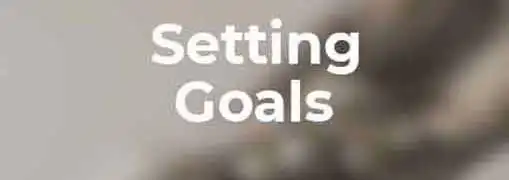 Setting Goals and Objectives for the Entrepreneur