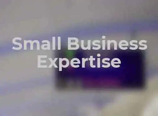 Small Business Experts and Their Attributes