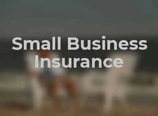 Small Business Insurance Basics