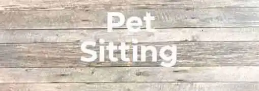 Start a Pet Sitting Business