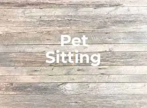 Start a Pet Sitting Business