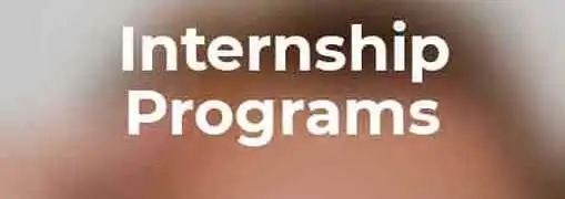 Starting an Internship Program
