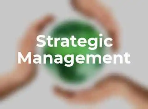 Strategic Management Models
