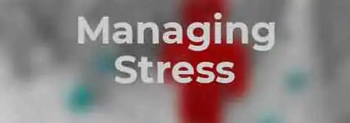 Stress Management Tips for Entrepreneurs Part 2