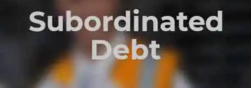 Subordinated Debt