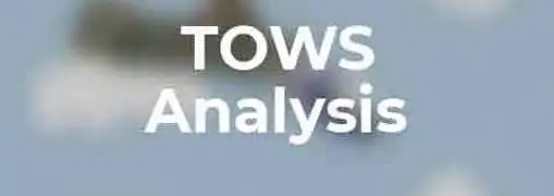 TOWS Analysis
