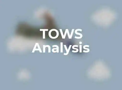 TOWS Analysis