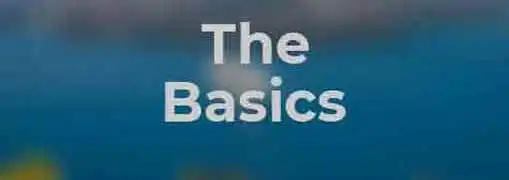 The Basics of Email Marketing