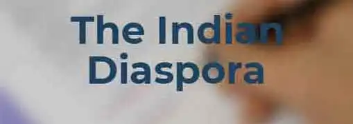 The Indian Diaspora Effect on Entrepreneurs