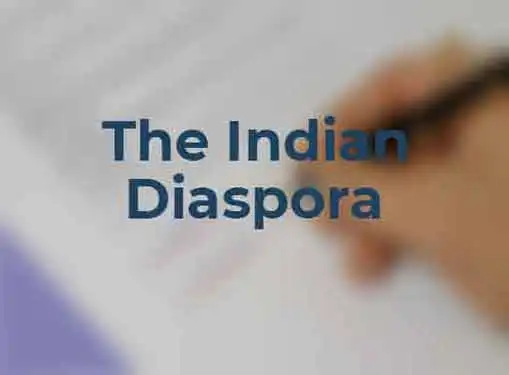 The Indian Diaspora Effect on Entrepreneurs