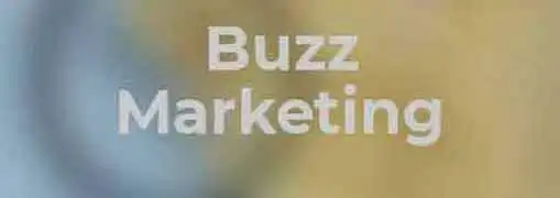 Using Buzz Marketing to Grow a Business