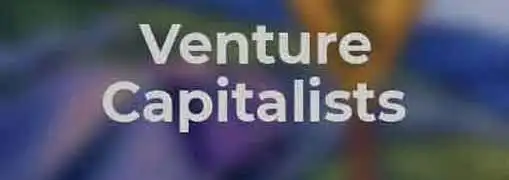 Venture Capitalist