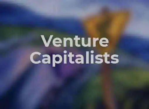 Venture Capitalist