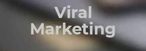 Viral Marketing and Facebook