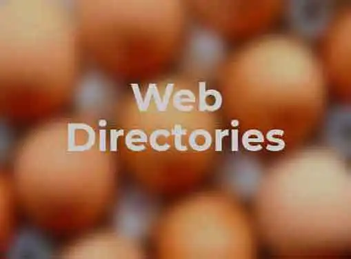 Web Directories for SEO