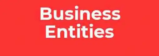 What Type Of Business Entity Should You Form