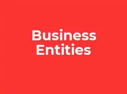 What Type of Business Entity Should You Form? - Starting My Own