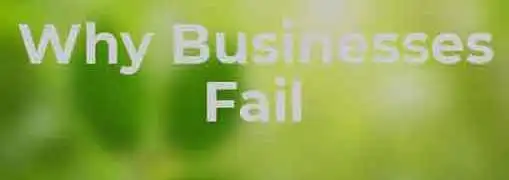 Why Businesses Fail