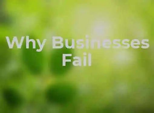 Why Businesses Fail