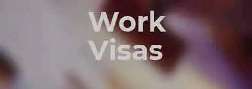 Work Visas The Pros and Cons