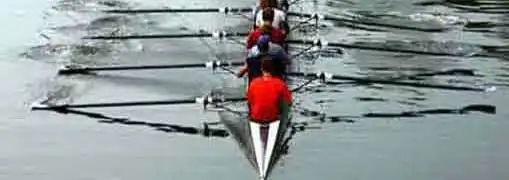 The Atmosphere of a Winning Team