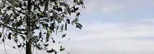 Time Value of Money Businesses