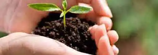 Tips on Surviving Your First Year in Business