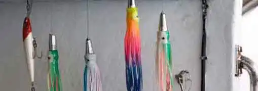 Trolls on the Internet