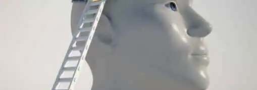 Utilizing Intellectual Capital