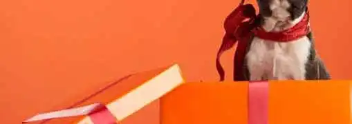 Welcome Some Disruption In Your Life