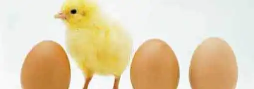 small business incubators