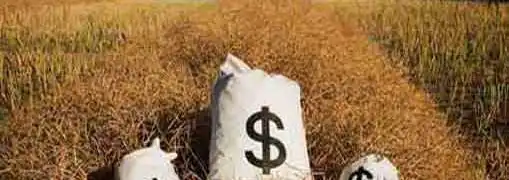 venture capital firms