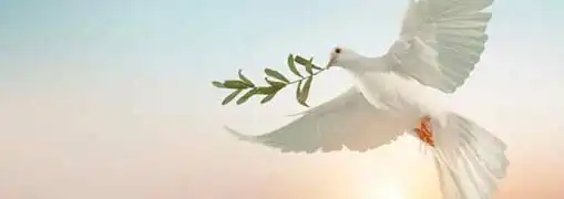 Advice for Religious Entrepreneurs