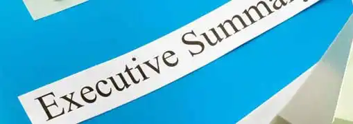 Business Plan Executive Summaries