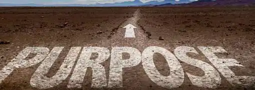 Business Plan Purpose