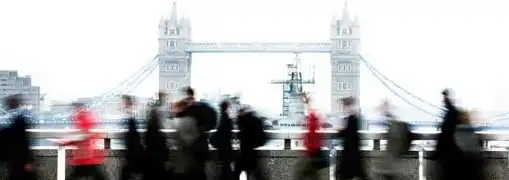 English Entrepreneur Interviews