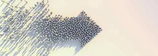 Franchise Management