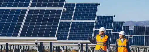 Green Entrepreneur Interviews