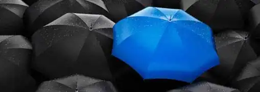 Small Business Insurance