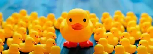 Leadership Attributes