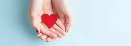 NonProfit Management